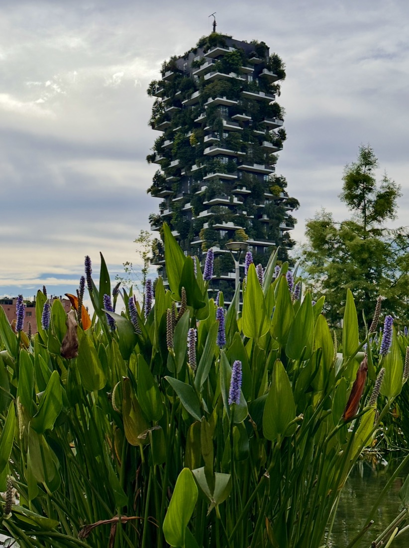 The Bosco Verticale towers in Milan seen over flowering plants