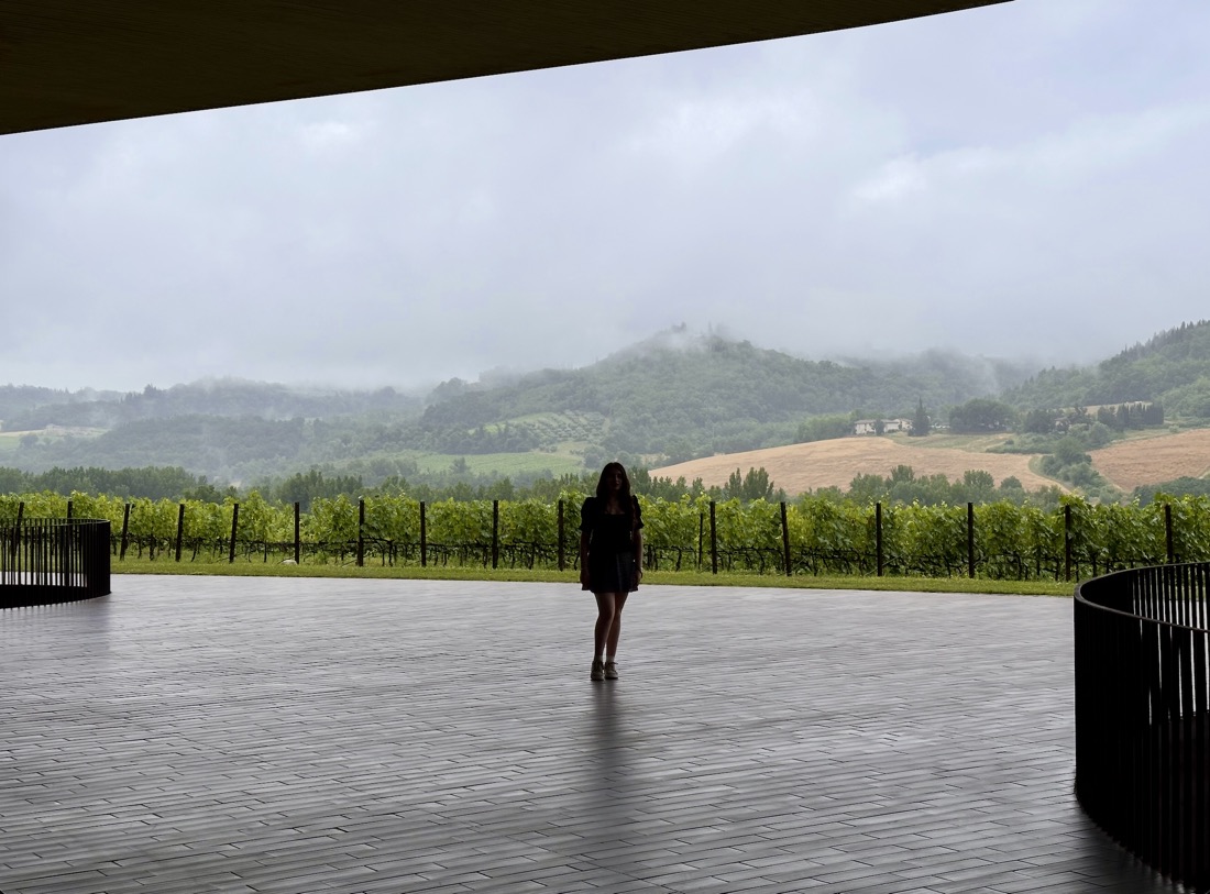 Standing at a winery looking out over the vineyards in the rain